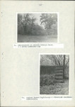 Ewidencja parkowa, skan nr 29