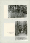 Ewidencja parkowa, skan nr 38