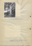 Ewidencja parkowa, skan nr 40