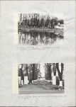 Ewidencja parkowa, skan nr 28