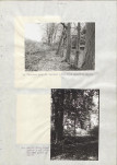 Ewidencja parkowa, skan nr 32