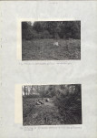 Ewidencja parkowa, skan nr 34
