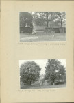 Ewidencja parkowa, skan nr 26
