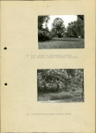 Ewidencja parkowa, skan nr 46