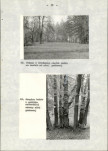 Ewidencja parkowa, skan nr 42