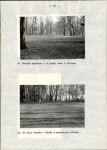 Ewidencja parkowa, skan nr 44