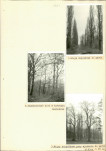 Ewidencja parkowa, skan nr 34