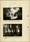 Ewidencja parkowa, skan nr 29