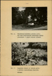 Ewidencja parkowa, skan nr 46
