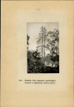 Ewidencja parkowa, skan nr 48