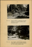 Ewidencja parkowa, skan nr 49