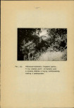 Ewidencja parkowa, skan nr 50