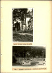 Ewidencja parkowa, skan nr 31