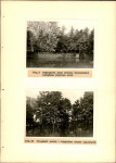 Ewidencja parkowa, skan nr 35