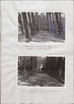 EP - Ewidencja parkowa, skan nr 39