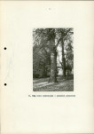 Ewidencja parkowa, skan nr 33