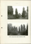 Ewidencja parkowa, skan nr 37
