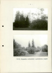 Ewidencja parkowa, skan nr 40