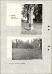 Ewidencja parkowa, skan nr 33