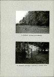 Ewidencja parkowa, skan nr 28