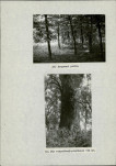 Ewidencja parkowa, skan nr 36