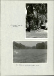 EP - Ewidencja parkowa, skan nr 66