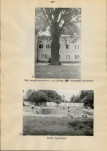 Ewidencja parkowa, skan nr 27