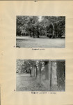 Ewidencja parkowa, skan nr 29