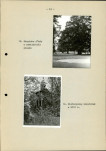Ewidencja parkowa, skan nr 31