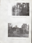 EP - Ewidencja parkowa, skan nr 28