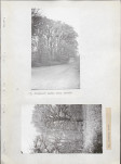 EP - Ewidencja parkowa, skan nr 36