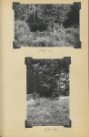 EP - Ewidencja parkowa, skan nr 65