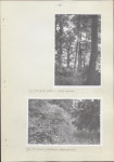 Ewidencja parkowa, skan nr 24