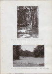 EP - Ewidencja parkowa, skan nr 26