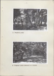 Ewidencja parkowa, skan nr 24
