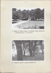 Ewidencja parkowa, skan nr 26