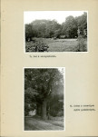 EP - Ewidencja parkowa, skan nr 29