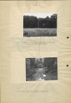 Ewidencja parkowa, skan nr 38