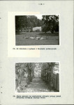 EP - Ewidencja parkowa, skan nr 41