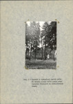 Ewidencja parkowa, skan nr 22