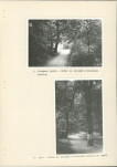 Ewidencja parkowa, skan nr 27