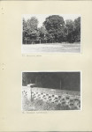 Ewidencja parkowa, skan nr 32