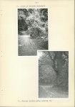 Ewidencja parkowa, skan nr 29