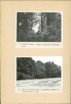 Ewidencja parkowa, skan nr 24