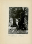 Ewidencja parkowa, skan nr 23