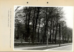 Ewidencja parkowa, skan nr 24