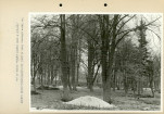 Ewidencja parkowa, skan nr 48