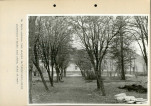 Ewidencja parkowa, skan nr 52