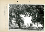 Ewidencja parkowa, skan nr 39