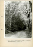 Ewidencja parkowa, skan nr 49